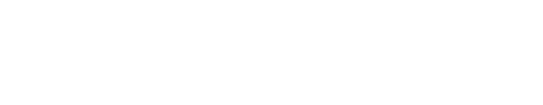 Web-Byg logo hvid